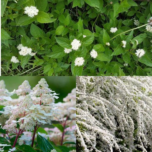 Комплект СКАНДИНАВСКИЙ СТИЛЬ в Петропавловске