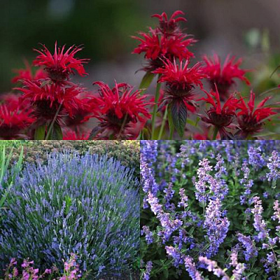 Комплект АРОМАТНЫЙ ЧАЙ в Петропавловске