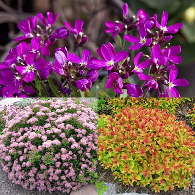 Комплект ЯПОНСКИЙ САД в Петропавловске