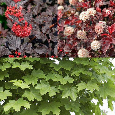 Комплект ОСЕННИЙ КОСТЕР в Петропавловске