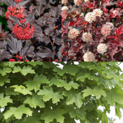 Комплект ОСЕННИЙ КОСТЕР в Петропавловске