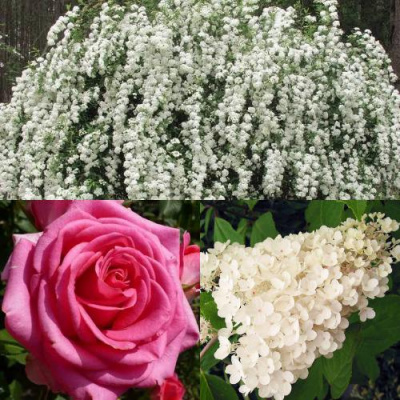 Комплект ВЕЧНАЯ КЛАССИКА в Петропавловске