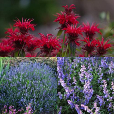 Комплект АРОМАТНЫЙ ЧАЙ в Петропавловске