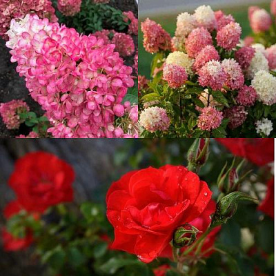 Комплект РОЗОВЫЙ ЗАКАТ в Петропавловске