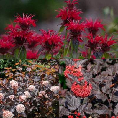 Комплект ОГНЕННЫЙ МИКС в Петропавловске