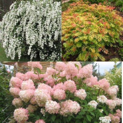 Комплект ФЕЙЕРВЕРК ЛЕТА в Петропавловске