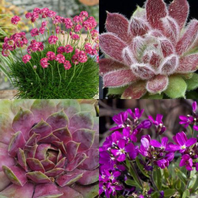 Комплект МИНИ САД в Петропавловске