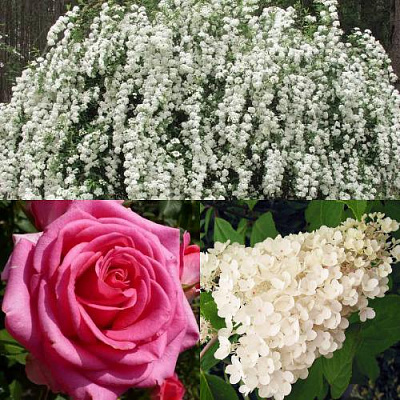 Комплект ВЕЧНАЯ КЛАССИКА в Петропавловске