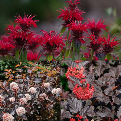 Комплект ОГНЕННЫЙ МИКС в Петропавловске